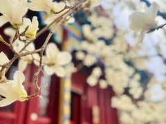 -天津大悲禅院