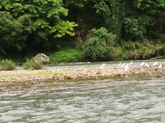 -桂林兴坪漓江