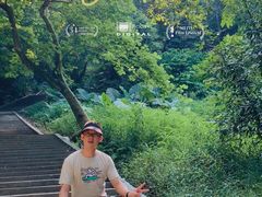 -火炉山森林公园
