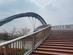 -澹台湖公园