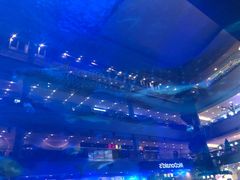 -成都浩海立方海洋公园