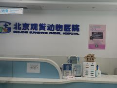 -北京观赏动物医院·24小时大型综合·猫专科·异宠专科