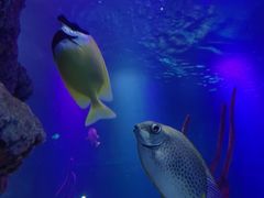 -沈阳海洋探索中心