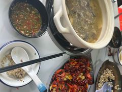 -蘑统田下·野生菌火锅