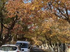 -八大关景区
