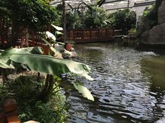 -汤山翠谷生态餐厅