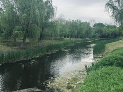 -梁鸿国家湿地公园