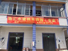 -南汇水蜜桃采摘(大团店)