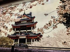 -蜜桃餐厅·伴山(湖滨商业街店)