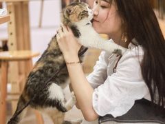 -五月木作·DIY木作文创体验店(北京路店)