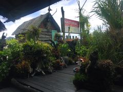 景观位-自然餐厅(Phuket)
