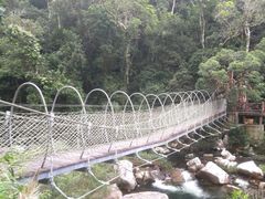 -海南热带雨林国家公园吊罗山景区