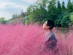 -昆山城市生态森林公园