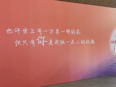 -合肥大剧院