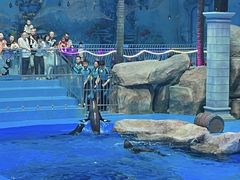 -南昌融创海世界
