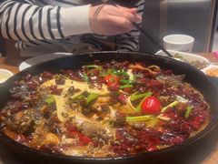 -老板恋上鱼(恒隆广场店)