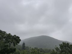 -南京老山国家森林公园