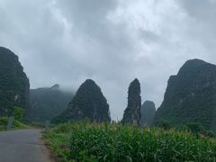 -钟山水墨田园