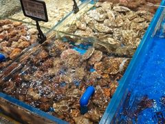 -鲜得莱渔港·小平岛海胆馆(七贤岭店)