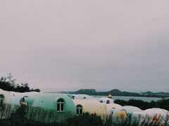 -漳州滨海火山岛自然生态风景区