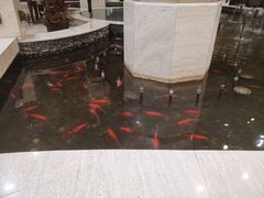 -碧中海汤泉汗蒸酒店