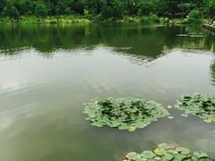 iphone_upload_pic-浙江农林大学(东湖校区)