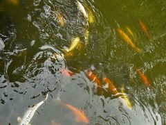 -珠海圆明新园