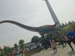 -陕西自然博物馆