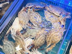 -渔家风味·鲅鱼水饺·央视展播·海鲜天津菜(开发区店)