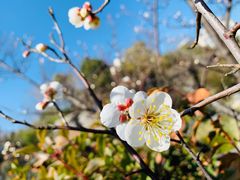 -上海吴淞炮台湾国家湿地公园