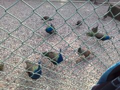 -南京金牛湖风景区