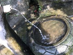 -大屏嶂森林公园