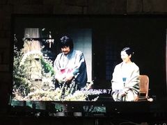 -一棵树·意大利西餐厅One Tree(新城店)