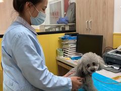 -瑞派·爱瑞可动物医院·口腔专科(广华新城分院)