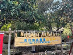 -溪霞怪石岭生态公园