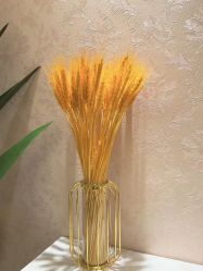 -本真坊美容美体沙龙