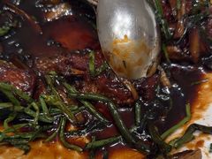 -新吉士·上海菜(浦东LCM置汇旭辉店)