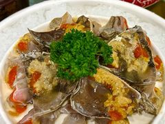 -渔娘渔家丹东海鲜(东直门店)