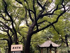 -上海兴国宾馆香樟园西餐厅