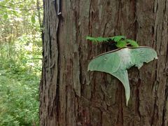 -同里国家湿地公园