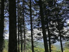 -硗碛藏寨·神木垒景区