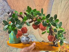 -遇见长安·陕菜名店(乐荟中心店)