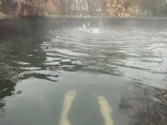 -夏津德百度假村温泉