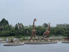 -北京野生动物园