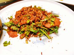 -凯里亚德酒店(成都东站店)
