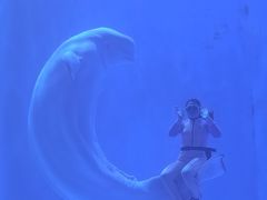 -多彩贵州城极地海洋世界