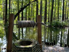 -金山植物公园