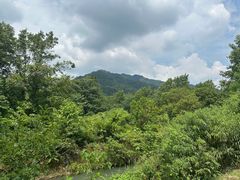-青城山