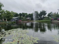 -成飞公园