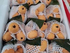 -海吉星市场